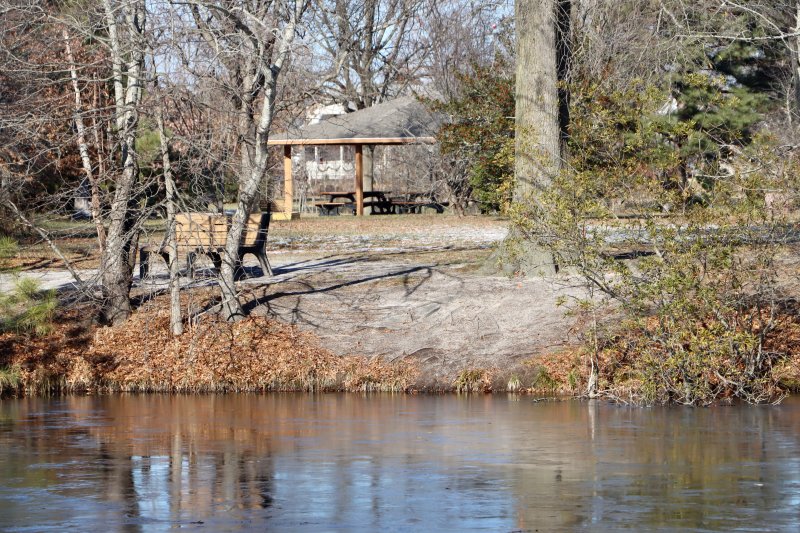 Exposed tree roots can be seen at various places around the Blockhouse Pond shoreline. The working group found that most of the damage has been caused by foot traffic.